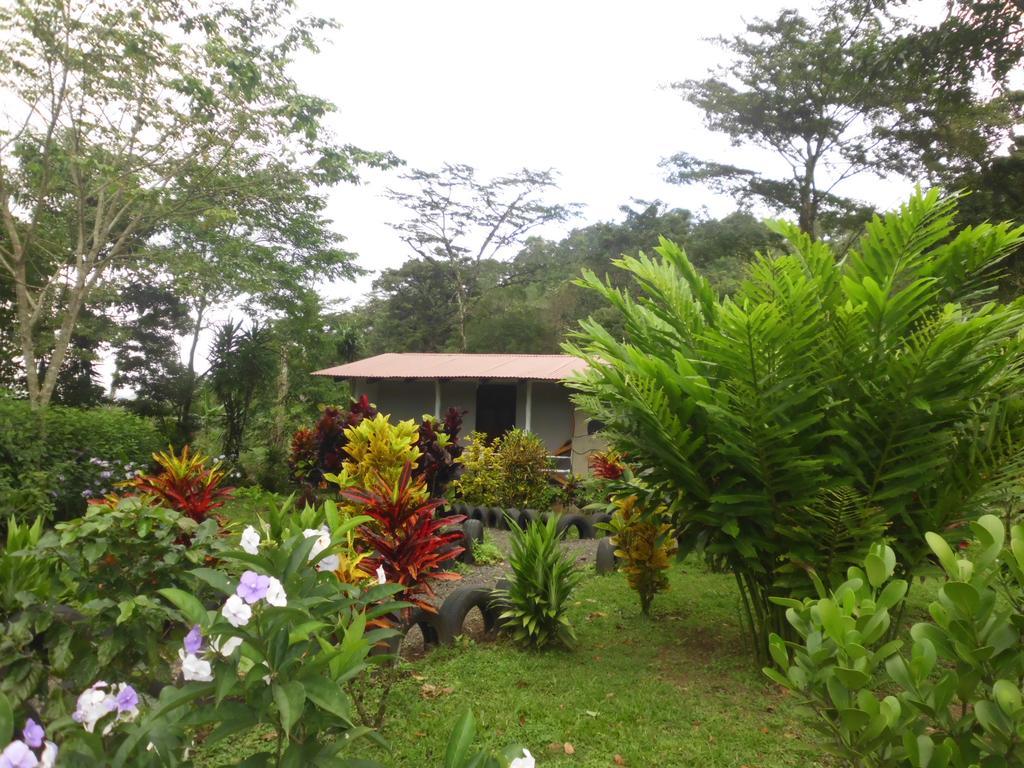 Lodge Nacientes