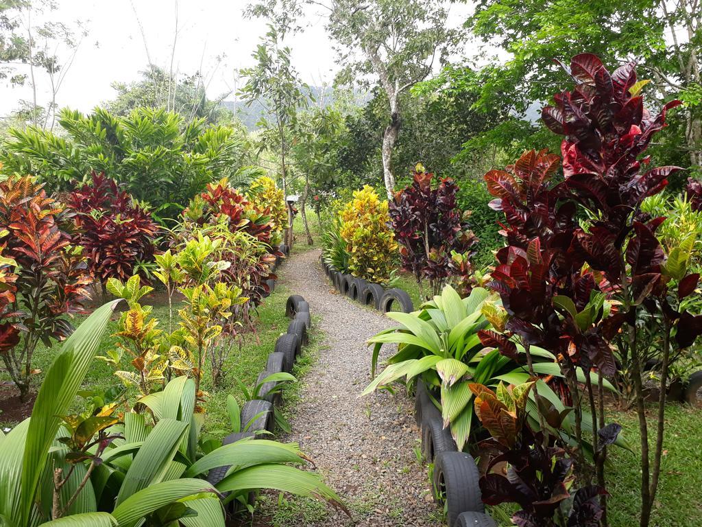 Lodge Nacientes Bijagua